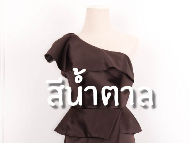 ชุดราตรีธีมสีน้ำตาล